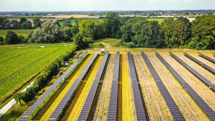 Durch die Tracker kann der Landwirt die Fläche fast komplett weiterhin für den Ackerbau nutzen.