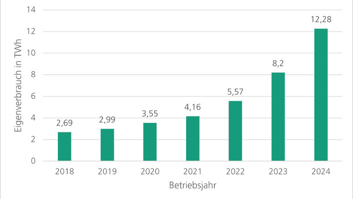 Seit 2018 hat sich die vor Ort verbrauchte Solarstrommenge mehr als vervierfacht.