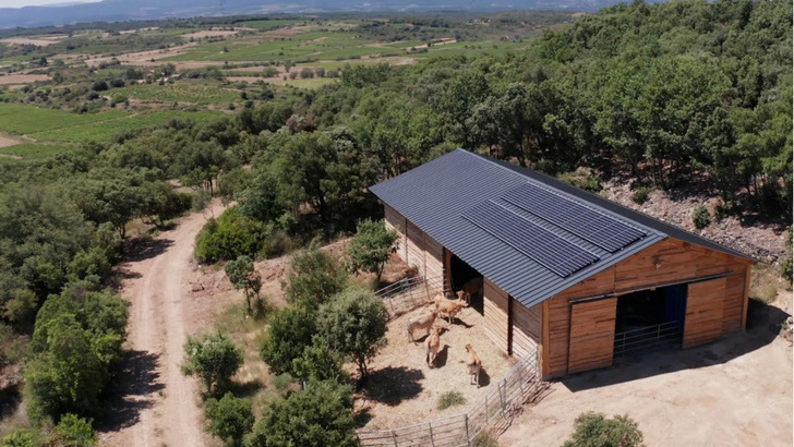 Solarer Rinderstall ohne Netz