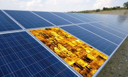 Bei der Lumineszenzmessung leuchten die inaktiven Stellen der Solarzellen schwarz auf. Gelb leuchten hingegen die unbeschädigten Bereiche.