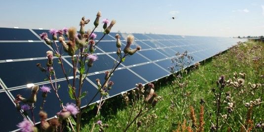 Auf heftige Kritik stößt der Plan der Bundesregierung, die Einspeisevergütung von großen Solarparks in Zukunft über ein Ausschreibungsverfahren zu vergeben. Das wird die Bürgerbeteiligung verhindern. - © BSW-Solar/First Solar
