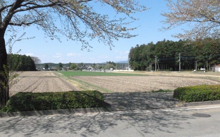 IBC Solar setzt nun einen Fuß auf japanische Erde. Der Markt gilt als vielversprechend.