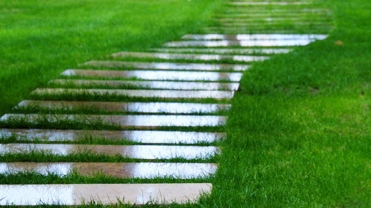 Welche der grünen Ideen am Ende prämiert werden, kann jeder mitentscheiden.