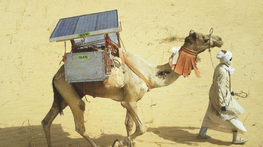 Nicht nur für Mensch und Tier sind die Lebensbedingungen in der Wüste unwirtlich. Auch Solarmodule müssen dem rauen Klima standhalten. - © NAPS Systems Oy Finland
