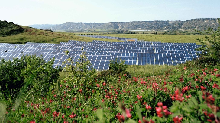 Die Wetterbedingungen in Italien sind top. Die Förderkonditionen dagegen wenig verlässlich.