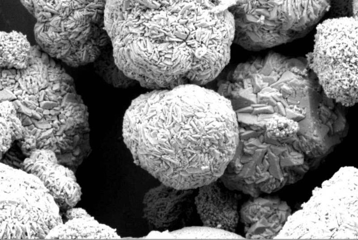 REM-Aufnahme von Partikeln des Kathodenpulvers.