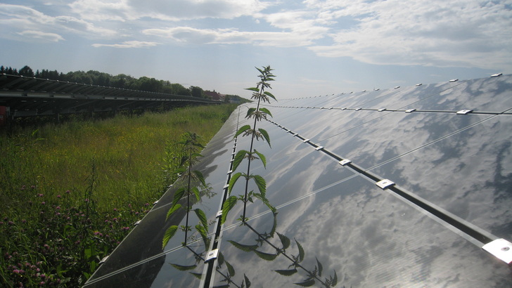 Zu wenig Mitglieder im Club der Solarbetreiber. Nun droht die Selbstauflösung.