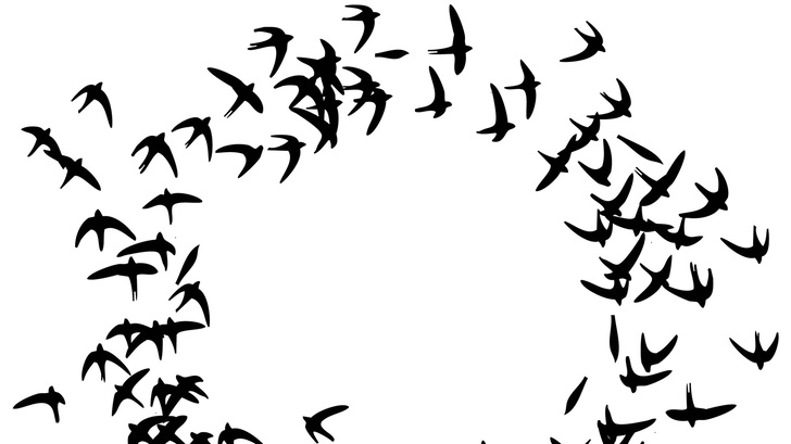 Viele kleine Batterien ergeben auch einen Großspeicher. Es muss nur die Steuerung richtig funktionieren.