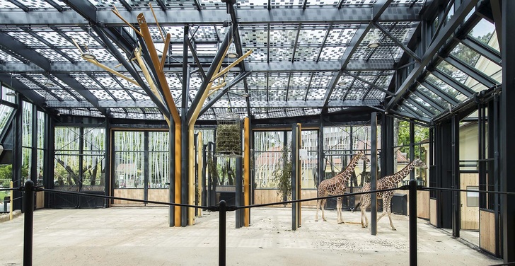 Die Solarzellen simulieren ein Blätterdach — ein Ort zum Wohlfühlen für die Giraffen in Wien.