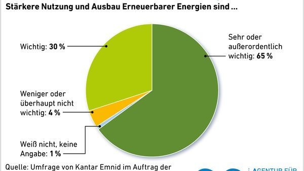 Die Antworten von rund 1.000 Befragten im Juli 2017. - © AEE
