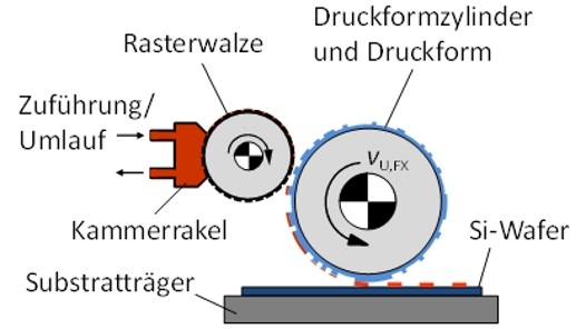 Mit dem Flexodruckverfahren haben die Entwickler die feine Struktur der Leiterbahnen auf die Vorderseite der Solarzellen gedruck. - © Fraunhofer ISE
