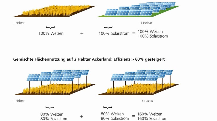 Die Doppelnutzung der Fläche steigert die Landnutzungseffizienz um 60 Prozent. - © Fraunhofer ISE
