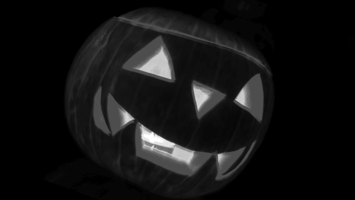 Der hohle Kürbis lacht sich einen Ast! - © HS
 Der hohle Kürbis lacht sich einen Ast!