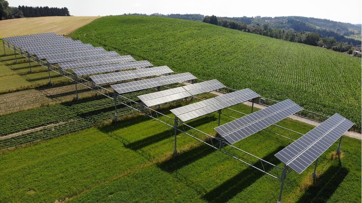 Die Agrophotovoltaikanlage in Heggelbach am Bodensee.