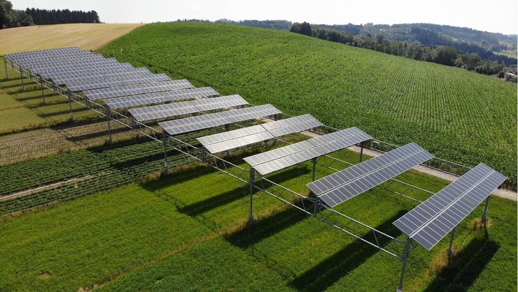 Die Agrophotovoltaikanlage in Heggelbach am Bodensee. - © Baywa r.e.
