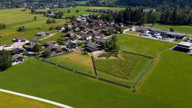 Agrophotovoltaik: ein bifazialer Zaun umzäunt einen Hühnerauslauf. - © Next2Sun
