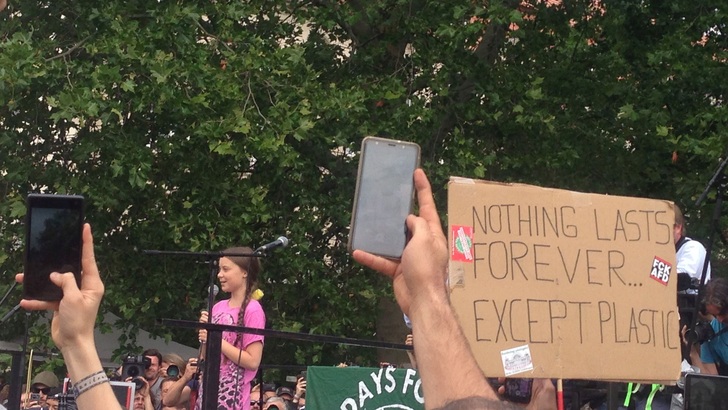 Greta Thunberg wurde von den Teilnehmern bejubelt.