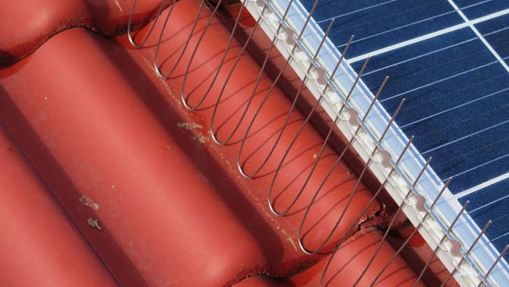 Um zu verhindern, dass Tauben unter den Solarmodulen heimisch werden, müssen alle Einflugmöglichkeiten geschlossen werden. - © Allex
 Um zu verhindern, dass Tauben unter den Solarmodulen heimisch werden, müssen alle Einflugmöglichkeiten geschlossen werden.