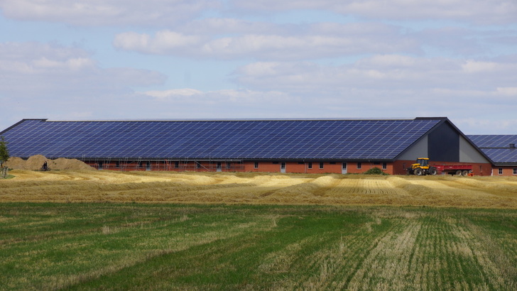 Mit Photovoltaikanlagen wie auf dieser Schweinefarm können Landwirte eine zweite Ernte einfahren. Um so mehr, wenn der Generator mit intelligenten Technologien ausgestattet ist. - © SolarEdge
