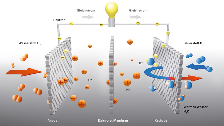 Prinzip der Brennstoffzelle: Sie setzt Wasserstoff in Wasser und elektrische Energie um. - © Viessmann
