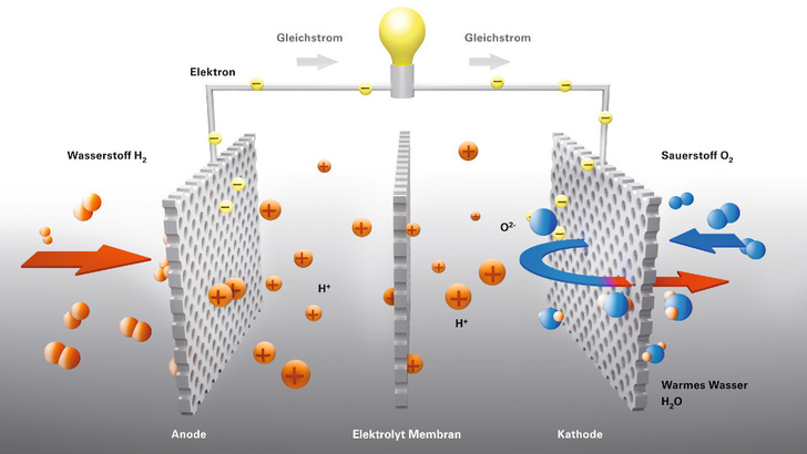 Prinzip der Brennstoffzelle: Sie setzt Wasserstoff in Wasser und elektrische Energie um.