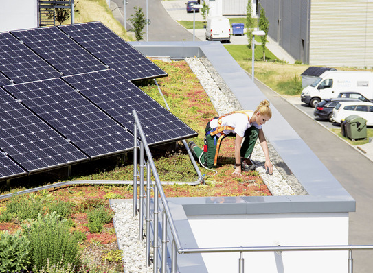Zwei auf einen Streich: Das Schienensystem Fallnet Rail zur Absturzsicherung ist ebenfalls auf den Solarbasisplatten verankert.