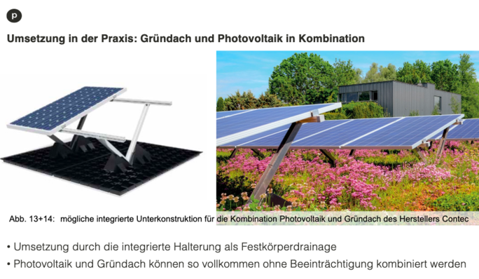 Untersucht wurden die Auswirkungen von Gründächern auf den Energieertrag von Photovoltaikanlagen.