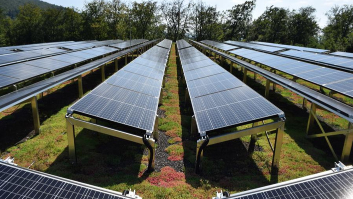 Mit der Kombination aus Dachbegrünung und Photovoltaik wird eine Fläche dreifach genutzt.