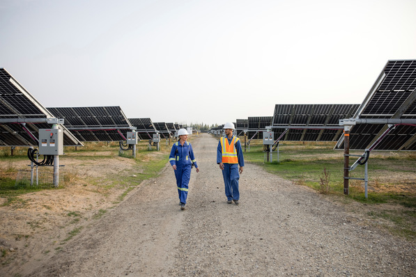 Produkt der Woche: ein bifaziales Halbzellenmodul mit 540 Watt für große Anlagen.
