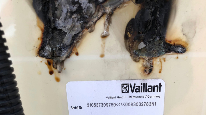 Hier hat sich eine defekte Lötstelle zum Brandherd ausgewachsen.