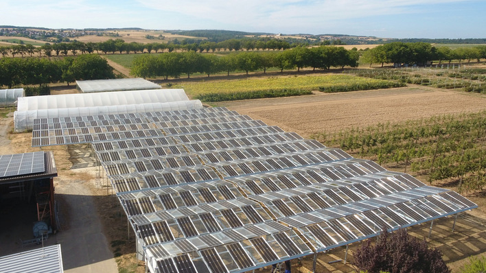 Agri-PV Pilotprojekt in Oedheim in Baden-Württemberg.