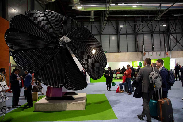 Auf der Genera in Spanien sehen die Sonnenblumen so aus.