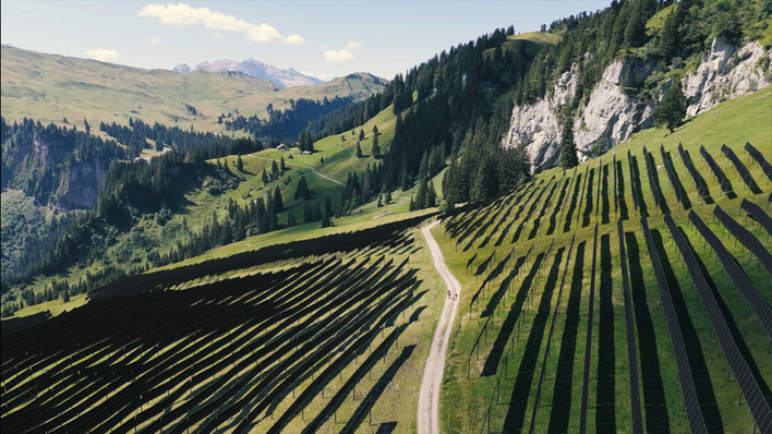 So wird der Solarpark Ybrig aussehen. Durch die hohe Aufständerung der Module kann die Wiese weiter beweidet werden.