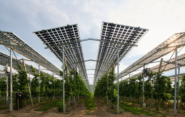  Die über Apfelbäumen auf dem Obsthof Bernhard in Kressbronn am Bodensee gebaute Agri-PV-Anlage ist Teil des Forschungsprojekts Modellregion Agri-Photovoltaik Baden-Württemberg.
