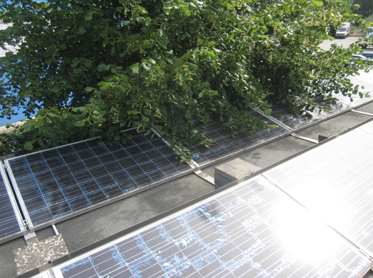 Der Baum hat die Anlage überwuchert. Rechtzeitige Wartung hätte das verhindert.