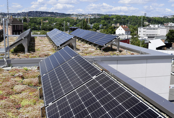 Auf Gründächern werden die Solarmodule in der Regel aufgeständert.