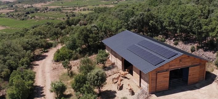 Auf dem Dach hätten noch mehr Module Platz. Doch die Anlage ist so ausgelegt, dass der Ertrag für den Betrieb der Wasserförderung und weiterer Geräte im Rinderstall ausreicht.
