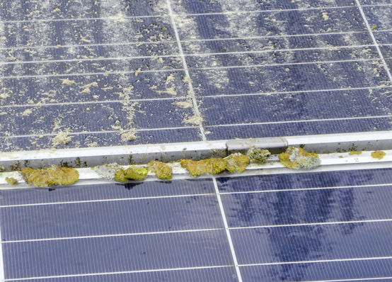 Bei der regelmäßigen Durchsicht fallen solche Problemstellen sofort auf.