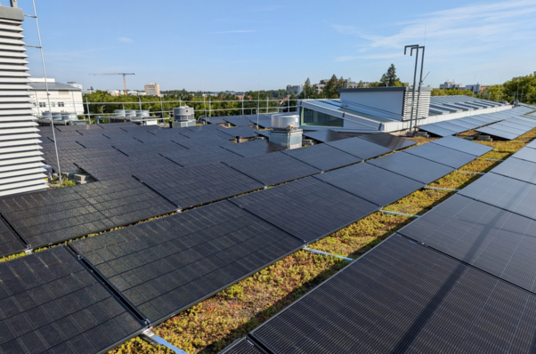 Das neue Online-Tool ermöglicht eine bessere Lastgangdeckung von gewerblichen Photovoltaikanlagen in Sachsen-Anhalt.