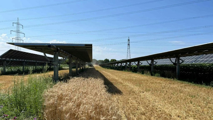 © EWS Sonnenfeld