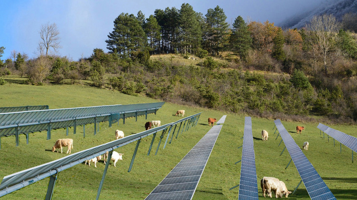 Die Befragten bekamen solche Fotos zu sehen. Hier wurde in die Wiese mit grasenden Kühen eine Solaranlage hineinmontiert.