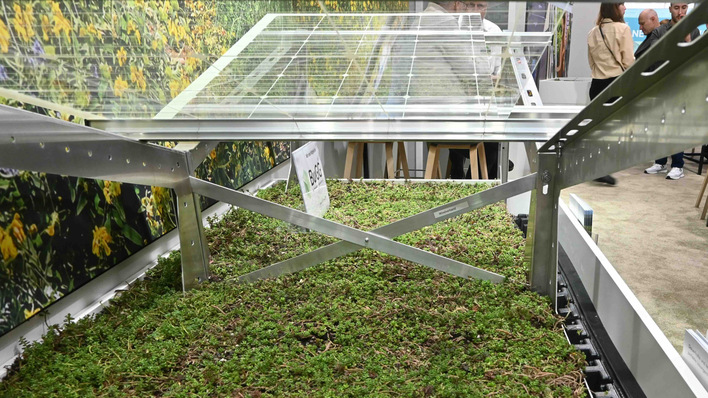 Für die Dachbegrünung füllt der Handwerker in die Solarbasisplatten einfach eine Sedumschicht ein.