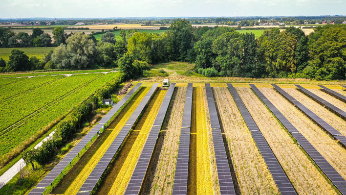 Durch die Tracker kann der Landwirt die Fläche fast komplett weiterhin für den Ackerbau nutzen.