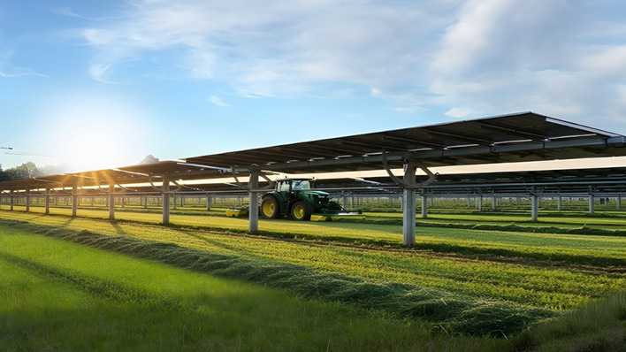 Die Solarmodule schützen Pflanzen im Sommer vor starker Sonneneinstrahlung.