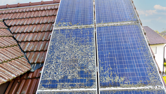 Diese Anlage braucht dringend professionelle Betreuung.