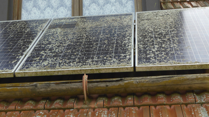 Diese Altanlage bedarf dringend der professionellen Reinigung und Wartung.