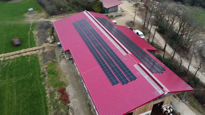 Knapp 100 Kilowatt Solarleistung haben die Handwerker auf dem Stalldach installiert.
