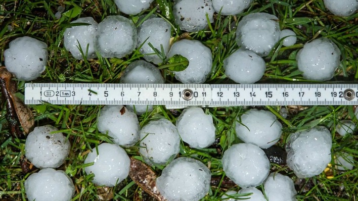 Hagelkörner können unsichtbare Schäden in Zellen verursachen, die man nicht ohne weiteres aufspürt.
