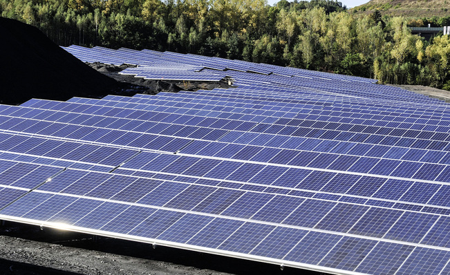 



Solarpark Mellin: Zwischen den Modulreihen ist der schwarze Untergrund zu sehen.
