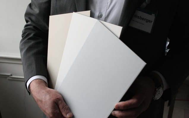 Solaxess erweitert die Farbpalette seiner Module.